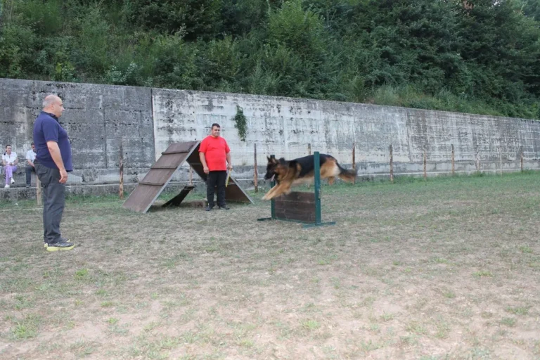 ANIMALI-CENTRO-Cesinali-006-1920w (1)