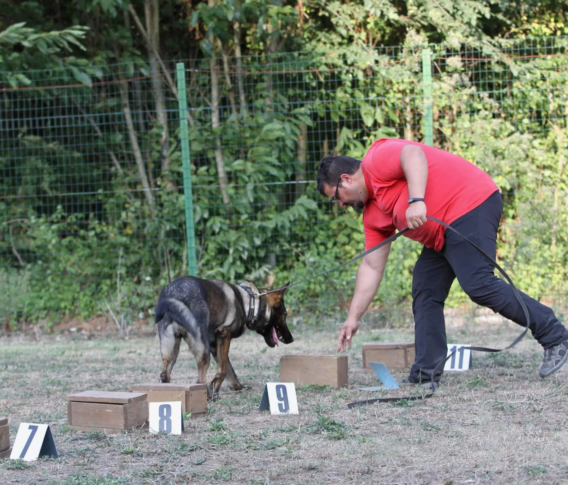 Nosework