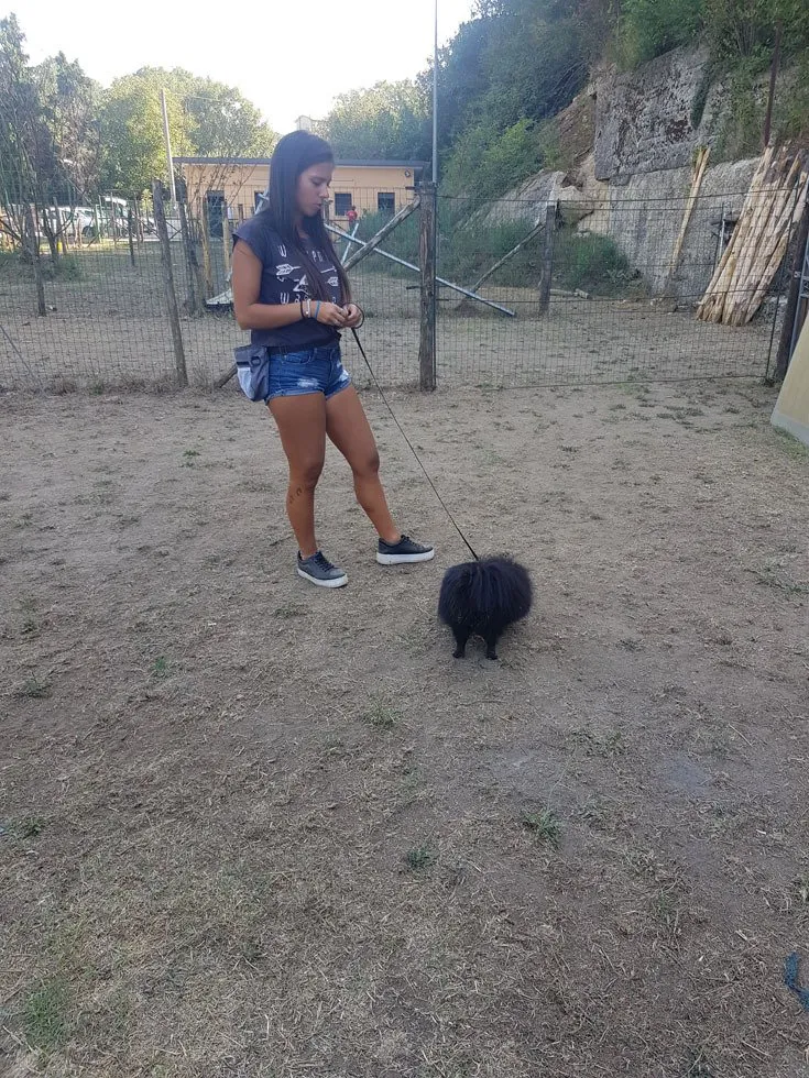 ANIMALI-CENTRO-Cesinali-071-1920w