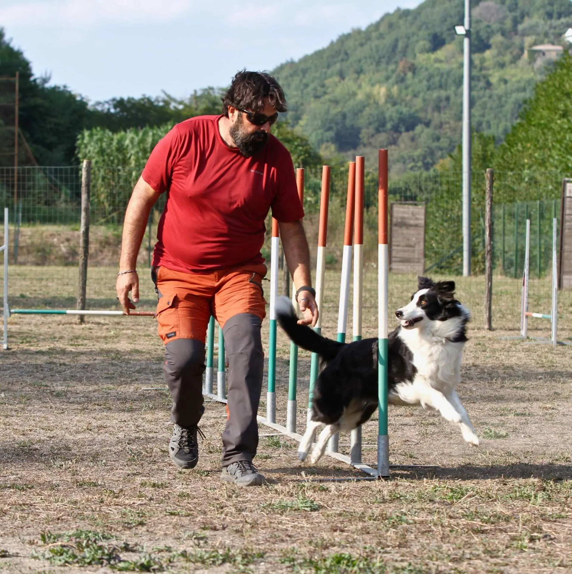 Attività e discipline